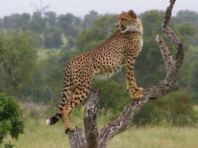 5 Holiday Destinations That Your Kids Will Love