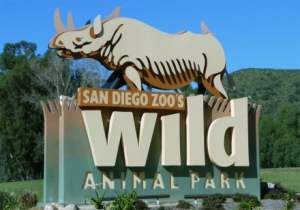 5 Family-Friendly Destinations in the USA