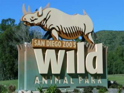 5 Family-Friendly Destinations in the USA