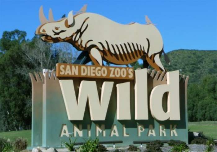 5 Family-Friendly Destinations in the USA