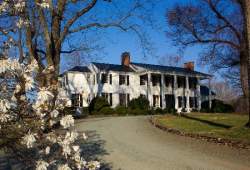 Clifton Inn
