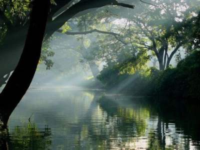 Explore the Tropical Paradise of Kerala