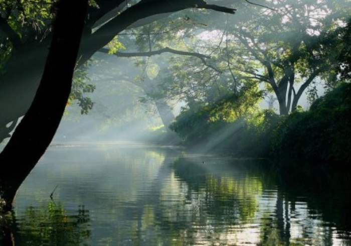 Explore the Tropical Paradise of Kerala