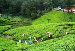 Sylhet