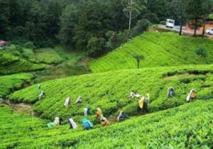 Travel to Bangladesh - Off the Beaten Track