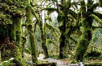  Rainforest Road