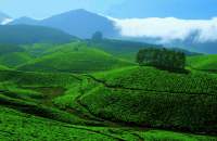 Munnar