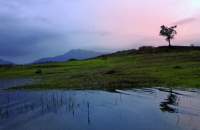 Wayanad